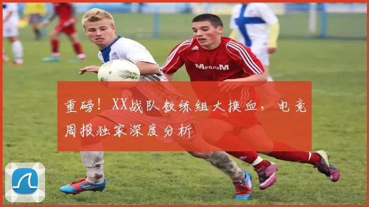 重磅！XX战队教练组大换血，电竞周报独家深度分析