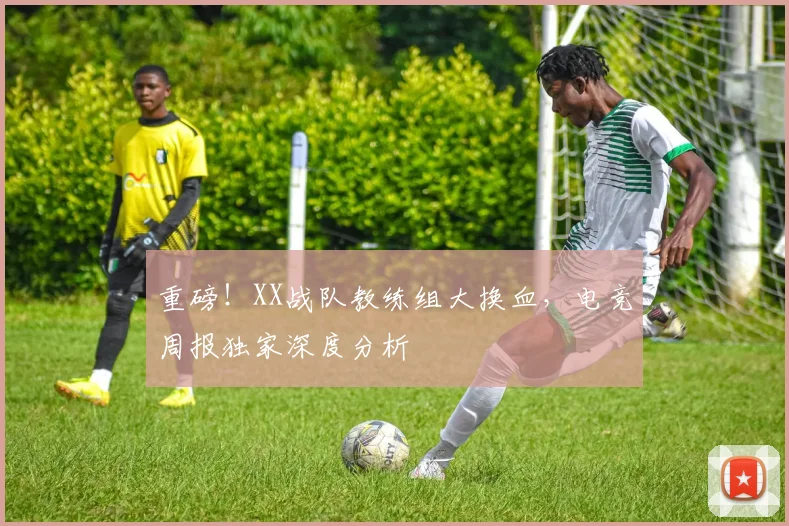 重磅！XX战队教练组大换血，电竞周报独家深度分析
