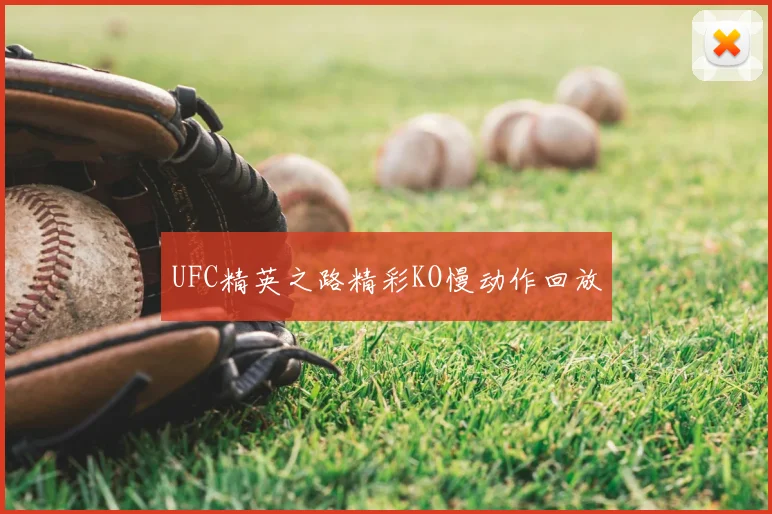 UFC精英之路精彩KO慢动作回放