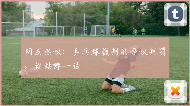网友热议：乒乓球裁判的争议判罚，你站哪一边
