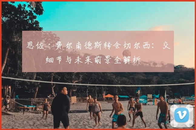 恩佐·费尔南德斯转会切尔西：交易细节与未来前景全解析