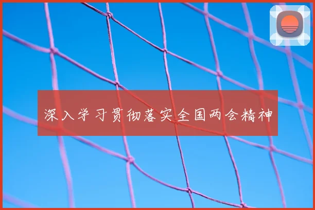 深入学习贯彻落实全国两会精神