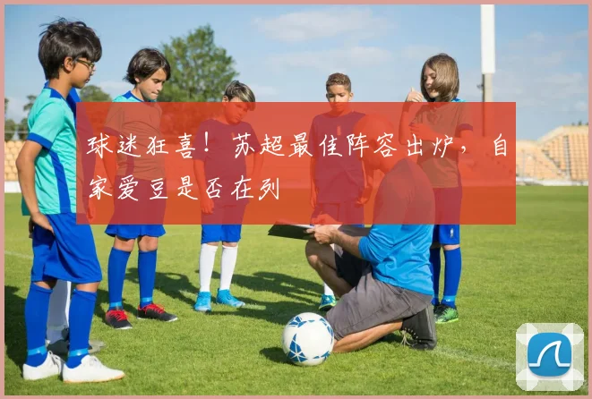 球迷狂喜！苏超最佳阵容出炉，自家爱豆是否在列