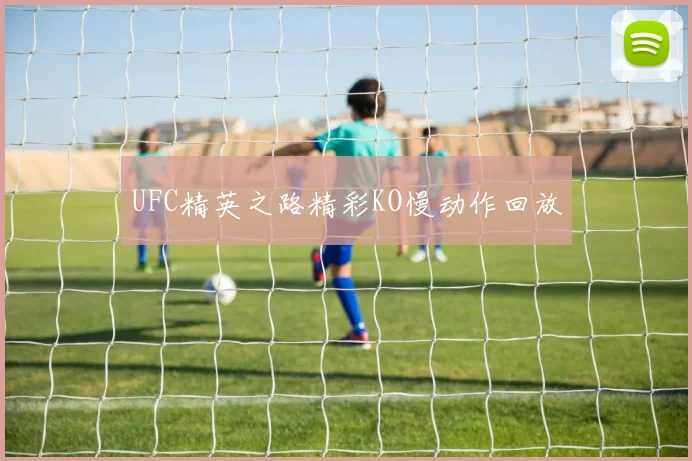 UFC精英之路精彩KO慢动作回放