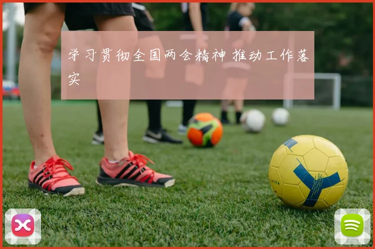 学习贯彻全国两会精神 推动工作落实