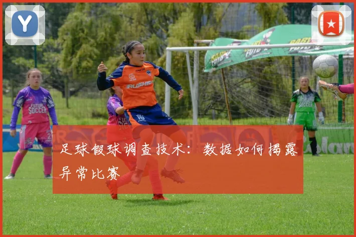 足球假球调查技术：数据如何揭露异常比赛