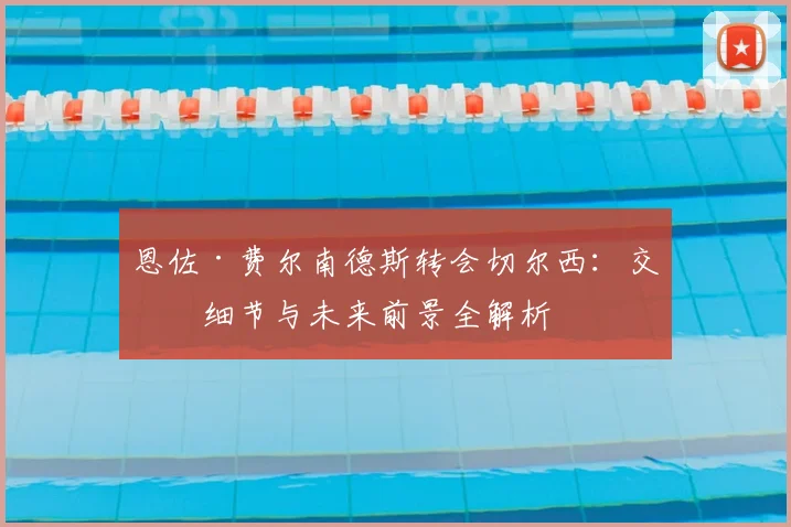 恩佐·费尔南德斯转会切尔西：交易细节与未来前景全解析